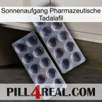 Sunrise Pharmaceutical Tadalafil 31